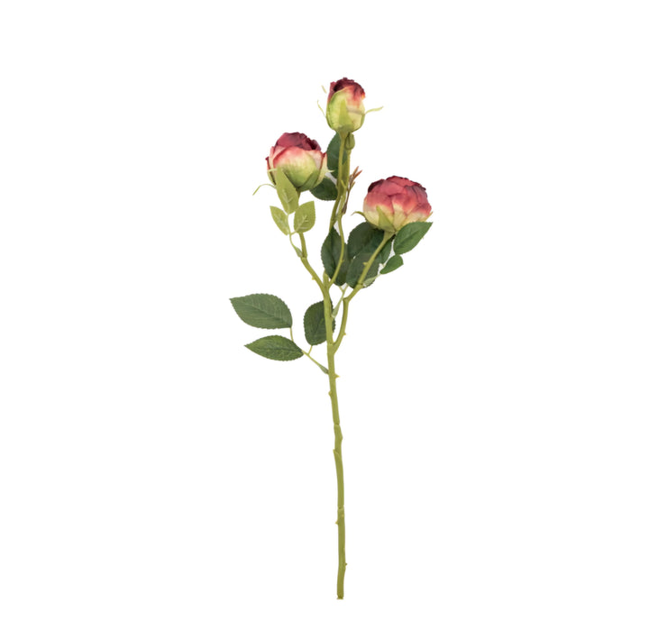 Faux Stem Vintage Rose 6pk