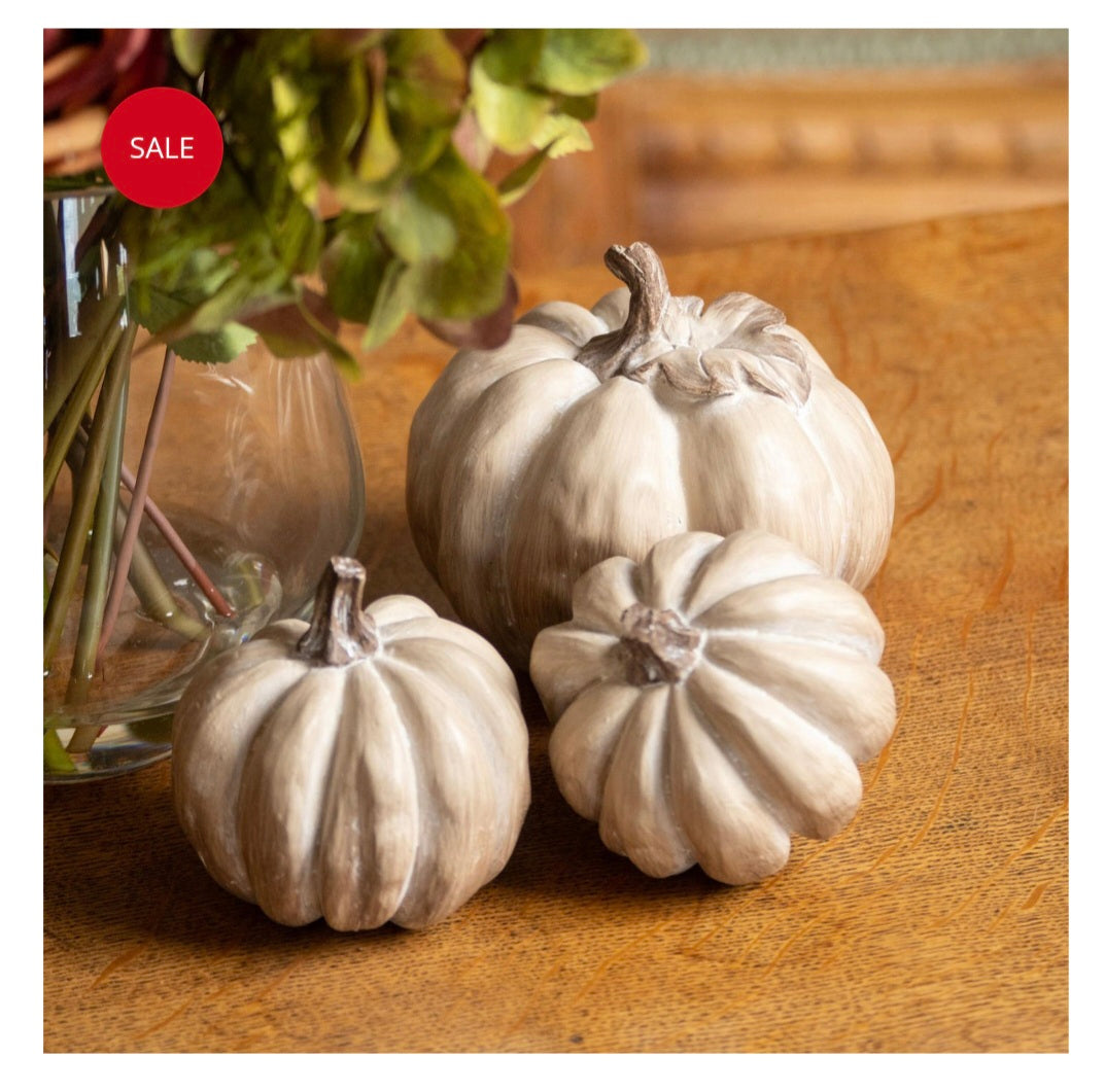Set Of Six Carved Wood Effect Pumpkins