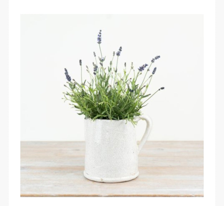 White Crackle Jug, 22cm