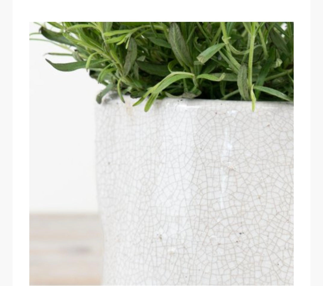 White Crackle Jug, 22cm