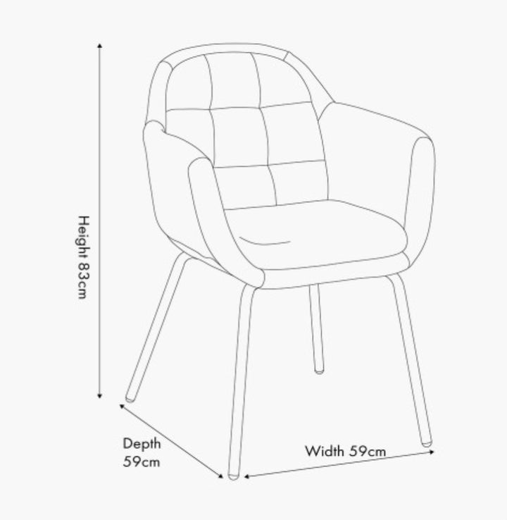 Alba Cinnamon Velvet and Black Metal Carver Dining Chair
