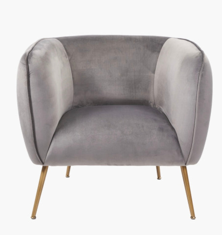 Lucca Dove Grey Velvet and Metal Armchair