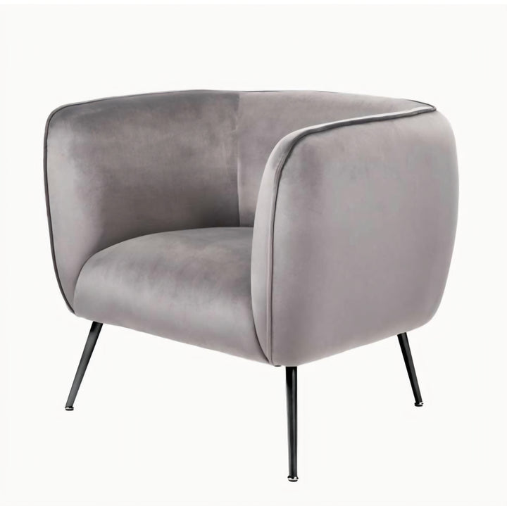 Lucca Dove Grey Velvet and Metal Armchair