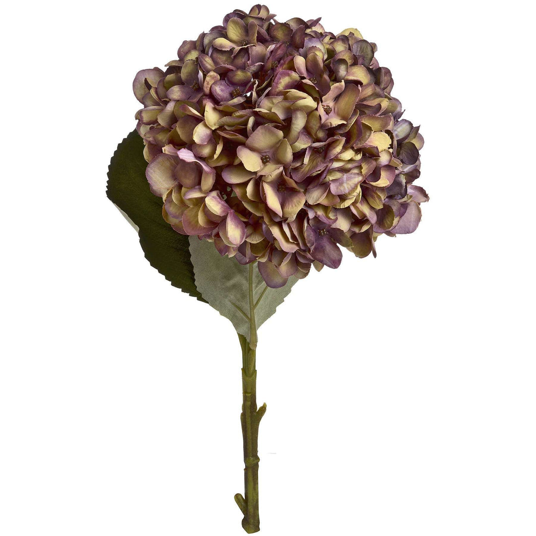 Burgundy Hydrangea Bouquet x 7 stems