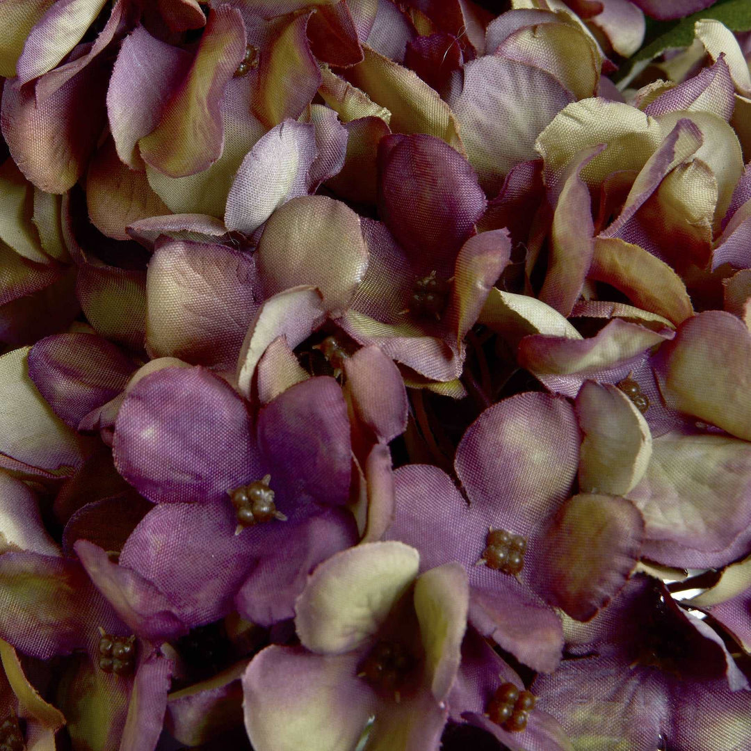Burgundy Hydrangea Bouquet x 7 stems