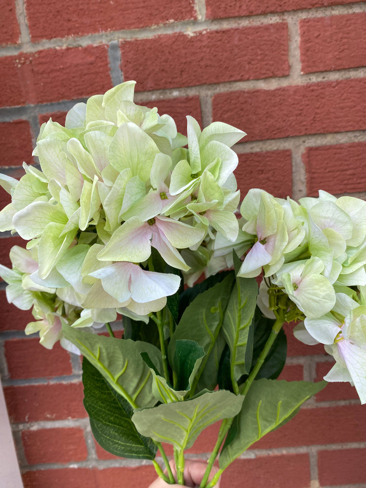 Pale Green Hydrangea Bouquet