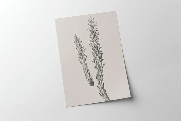 Simple Vintage Botanical Stem Print in Frame