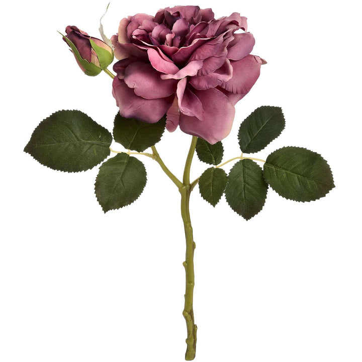 Dusty Pink Short Stem Rose (5 stems )