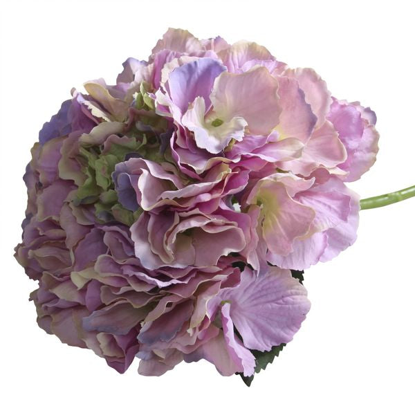 Blush Lavender Short Stem Hydrangea