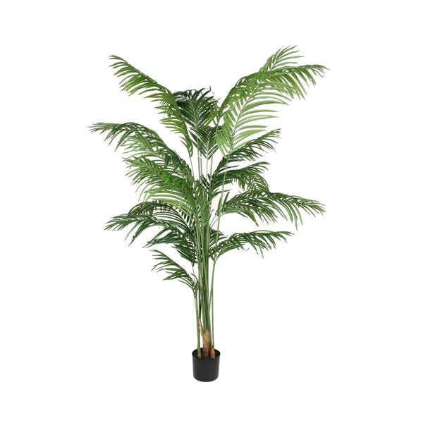 Artificial Kentia Palm in Pot (200cm)