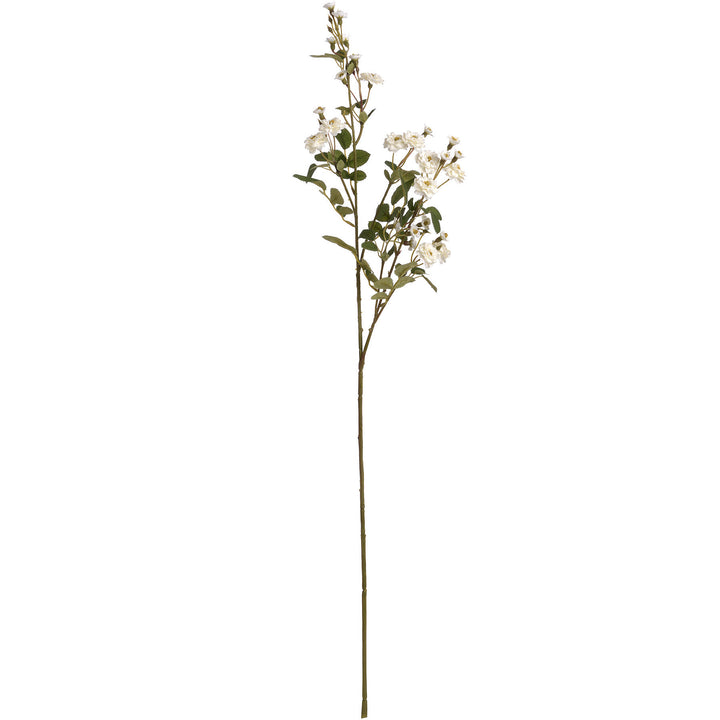 White Wild Meadow Rose x 3