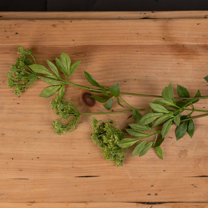 Faux Cow Parsley Ammi x 3 stems