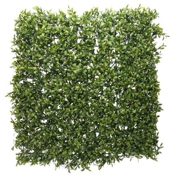 Green Plant Wall (50 x 50cm) - Plants