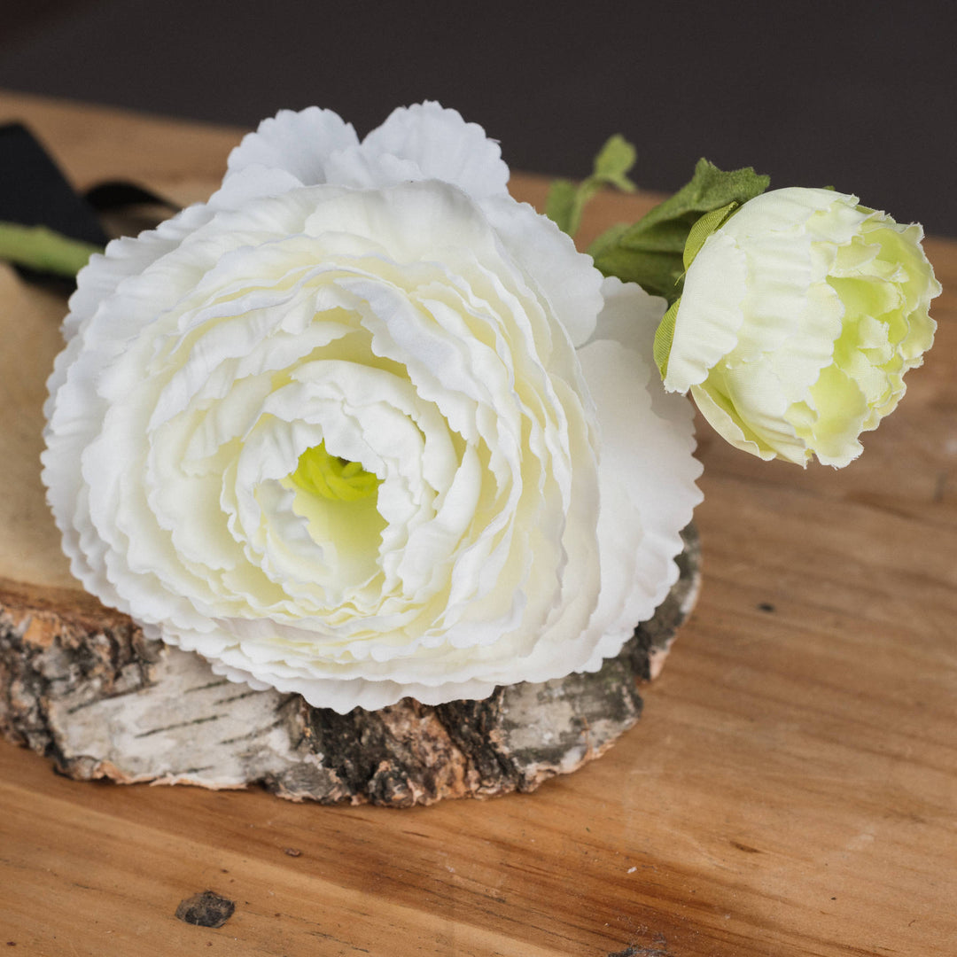White Ranunculus Bouquet x 3