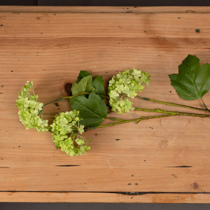 Green Viburnum Spray x3