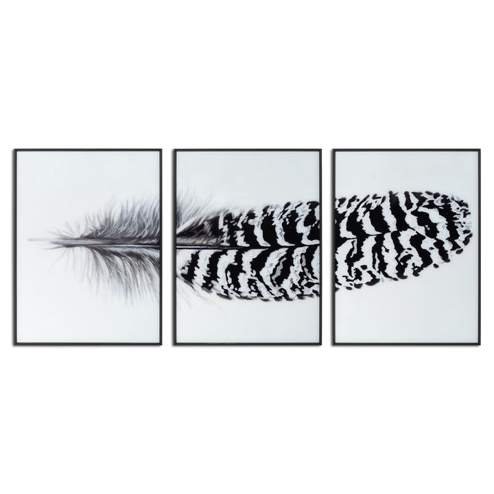 Trio Monochrome Feather Framed Artwork