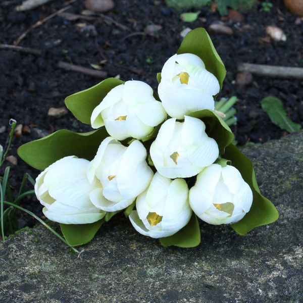 Tulip Bunch White