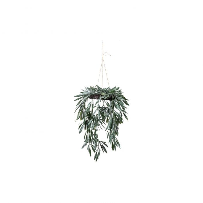 Eucalyptus Hanging Wreath