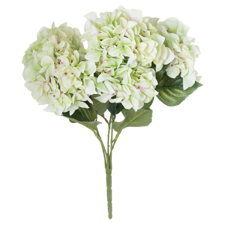 Pale Green Hydrangea Bouquet
