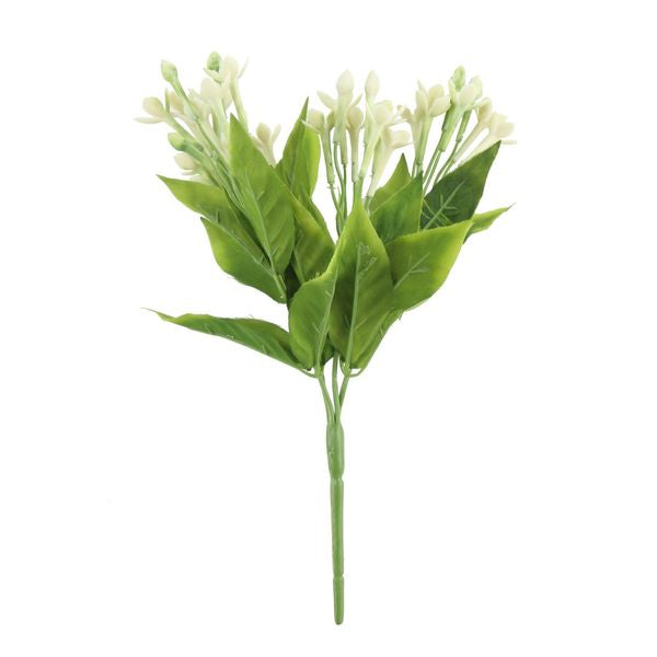 White Jasmine Flower x 3