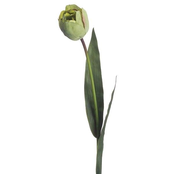 Tulip | Green - Home Pieces