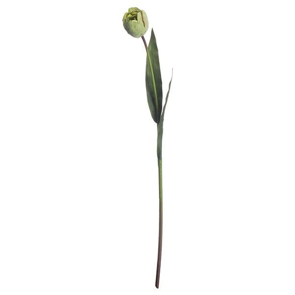 Tulip | Green - Home Pieces