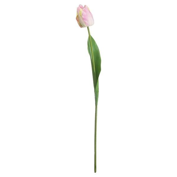 Tulip | Pink & Green - Home Pieces