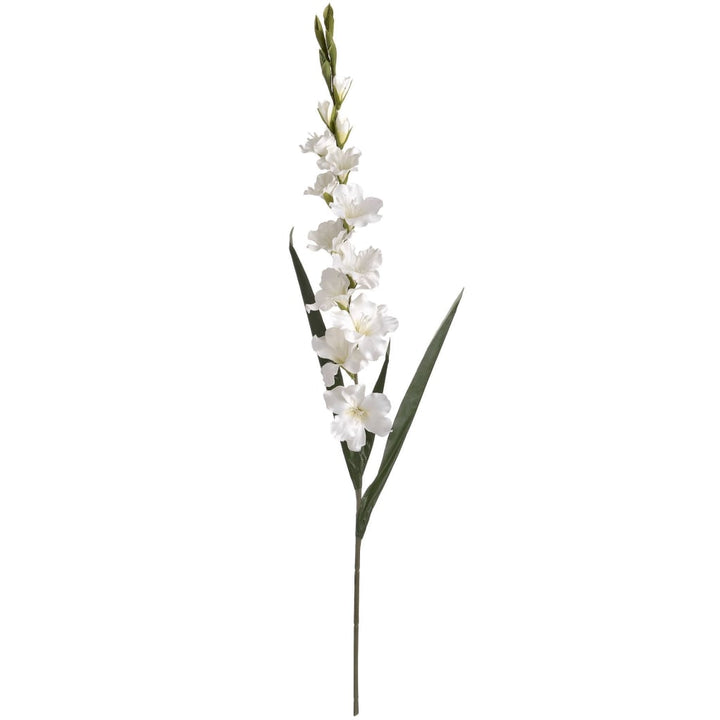 White Gladioli bunch of 6 | 108cm